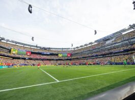 Μπίζνες της FIFA με τον χλοοτάπητα του τελικού…